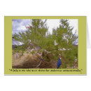 Search for panties postcards Humour