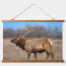 Search for john wilde posters Nature
