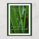 Search for quotation photography Wisdom