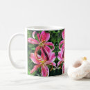 Search for stargazers mugs Lily