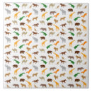 Search for crocodile tiles Animal