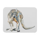 Search for rufus Macropus rufus
