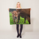 Search for calf blankets Cow