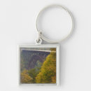Search for gorge key rings New river gorge