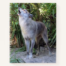 Search for wolf howling notebooks Wildlife