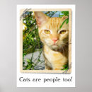 Search for too posters Animals