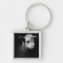 Search for lamb key rings Livestock