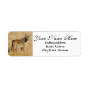 Search for coyote return address labels Wolf