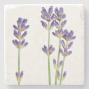 Search for isolated coasters Flower