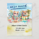 Search for beach cat postcards Sea