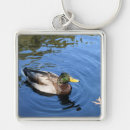 Search for mallard key rings Duck
