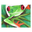 Search for green tree frog posters Cute