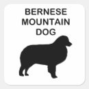 Search for bernese stickers Bmd