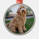 Search for duck christmas tree decorations dogs