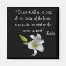 Search for buddha magnets Photography