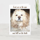 Search for truthful cards Funny