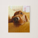 Search for furniture puzzles Building