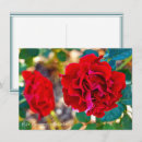 Search for rosa cards Flower