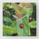 Search for ladybug gifts Dot