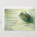 Search for peacock feathers postcards Classy