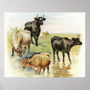 Search for vintage farm animal posters Animals
