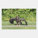 Search for juvenile stickers Wildlife