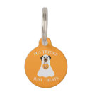 Search for halloween dog tags Trick or treat