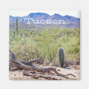 Search for tucson magnets Souvenir