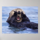Search for cute otter posters Sea