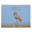 Search for owls calendars Raptor