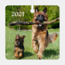 Search for hairy christmas tree decorations Animal