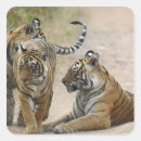 Search for royal tiger stickers Panthera