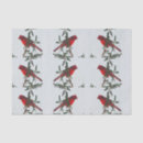 Search for cardinal tissue paper Songbird