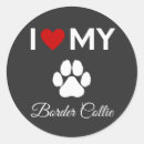 Search for border collie stickers Puppies