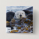 Search for float badges Ocean