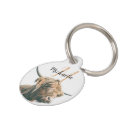 Search for pet tags Animal