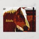 Search for profile horizontal postcards Horse