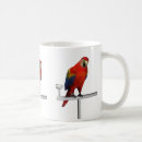 Search for scarlet macaw mugs Owner