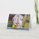 Search for goat valentines day cards Humour