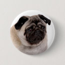 Search for muzzle Cute