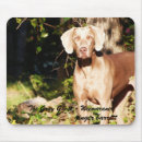 Search for weimaraner mouse mats Dog