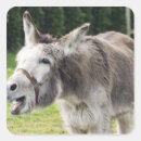 Search for animal nose stickers Outdoors