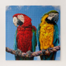Search for wild bird puzzles Animals