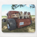 Search for bully electronics English bulldog