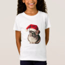 Search for chinchilla gifts Animals