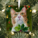 Search for orange and white cat christmas tree decorations Feline