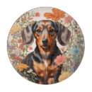 Search for dachshund chopping boards Cute