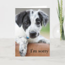 Search for sorry cards Puppy