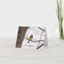 Search for cardinal thank you cards Nature