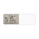 Search for chihuahua puppy return address labels Pet